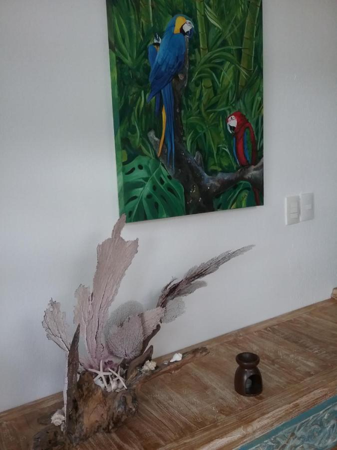 Casa Rioja Playacar Bed and Breakfast Playa del Carmen Buitenkant foto