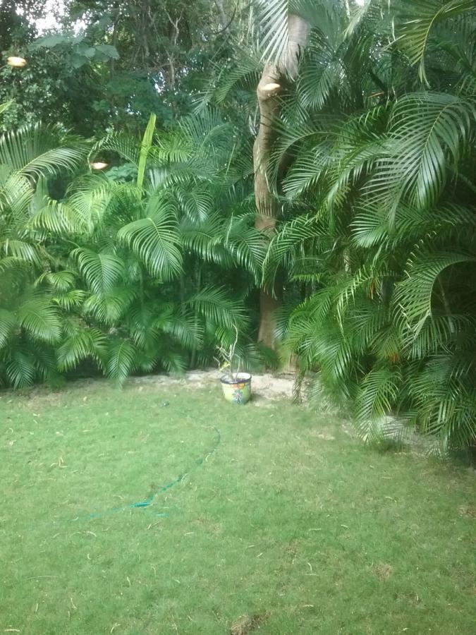 Casa Rioja Playacar Bed and Breakfast Playa del Carmen Buitenkant foto